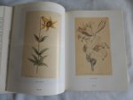 John E. Bryan - BULBS - Volume I,  a- h. Volume II, i- z  ---- COMPLETE SET ---