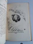 Chiang Yee - Chin-Pao and the Giant Pandas