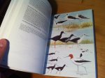 Heather, Barrie & Hugh Robertson & Derek Onley - Field Guide to the Birds of New Zealand