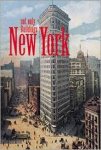 Rota, Italo - New York. Not Only Buildings