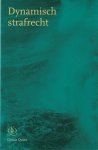  - Dynamisch strafrecht