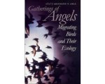 Unknown - Gatherings of Angels