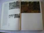 Diehl, Gaston / Kunzel, H. trad.Fr/Du - Die Modernen. Malerei unserer Zeit Diehl, Gaston / Kunzel, H. trad.Fr/Du - Die Modernen. Malerei unserer Zeit