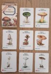 HERON-JEUX. - 7 Familles, Les Champignons