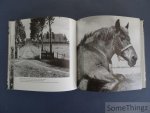 Milliano, Oscar (fotogr.) en A.R. Bauwens (eindred.) - Collage in zwart wit: Oscar de Milliano fotografeert West-Zeeuw-Vlaanderen 1950 - 1980.
