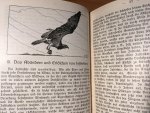 Graeser, K - Der Zug der Vögel - einde biologische Skizze