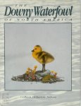 Colleen Helgeson Nelson - The Downy Waterfowl of North America