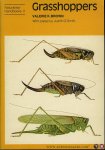 BROWN, Valerie - Grasshoppers
