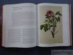 H. Walter Lack. - Ein Garten Eden: Meisterwerke der botanischen Illustration / Garden of Eden: Masterpieces of botanical illustration / Un Jardin d'Eden: Chefs-d'oeuvre de l'illistration botanique. Österreichische Nationalbibliothek. [text D-ENG-FR]
