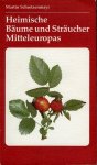 SCHRETZENMAYR, Martin - Heimische Bäume und Sträucher Mitteleuropas