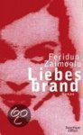 Feridun Zaimoglu - Liebesbrand