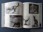 François Brochet. - François Brochet. 40 ans de sculpture. 40 years of sculpture.