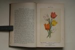 Dr. Vitus Bruinsma; Uildriks, F.J. van; - De mooiste en meest gebruikte Tuinbloemen  Onze Bloemen In de Tuin  met 160 Gekleurde Platen (zie de foto's)