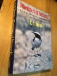 Panov, EN - Wheatears of Palearctic - Ecology, Behaviour and Evolution of the Genus Oenanthe (Tapuit)