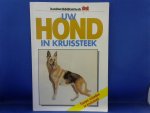 samengesteld - Uw hond in kruissteek