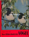 Wenzel, - Ottens - Das Bilderbuch der Vögel
