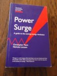 Flavin; Lenssen - Power Surge. A guide to the coming energy revolution