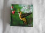 Michel Viard - Vogels - kubus boek kubusboek