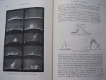 Ludendorff, H. - Newcomb-Engelsmanns  Populare Astronomie