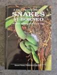 Steubing Robert B. Inger Robert F. - A Field Guide to the Snakes of Borneo