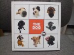 Kool, C. - The dog / Ned ed / artist collection