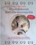 Scheltema, Renée - Iets onbekends doet iets onverwachts. Een spirituele reis langs wetenschappers die bovennatuurlijke ervaringen bestuderen + DVD