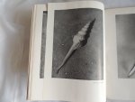 Benthem Jutting, W.S.S. van (tekst) / Bessem, Paul (fotografie) - Schelpen "Gloria Maris"  Shells of the Malaysian Seas