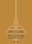 Wilfred van Winden ; Wilfried van Winden - Fusion
