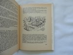Nierop, Pieter (ps. van F.P. Groot) - De vlaggen uit op Weltevree