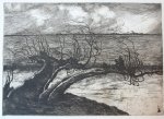 Ven, Jan Cornelis van der (1896-1930) - Ets/etching: Hanging tree by river/hangende boom bij rivier.
