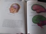 DeLand, Frank - Atlas of nuclear Medicine volume 1 Brain