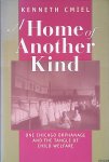 Cmiel, Kenneth - A Home of Another Kind: One Chicago Orphanage and the Tangle of Child Welfare