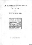 Deinse, A.B. van - De fossiele en recente Cetacea van Nederland