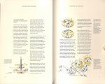 A, Lange & Söhne - State of the art tradition. Edition 2006/2007. Uitgebreide Engelstalige catalogus met geschiedenis en technische informatie