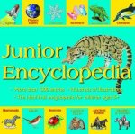 Miles Kelly - Junior Encyclopedia