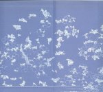 Wieringa Tommy  (20 mei 1967 - Goor Overijssel) Omslagontwerp Brigitte Slangen  en Foto auteur Keke Keukelaar  Beeld schutbladen Katsushika Housai  Fuji en Kersenbloesem  Opmaak binnenwerk Peter Verey  en Martien Frijns - Een mooie jonge vrouw  ..  Een man van in de veertig begint een verhouding met een mooie jonge vrouw. Zij betekent een overwinning op de tijd, maar zijn ouderdom en verval kan hij er niet mee afwenden.