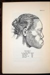 D. J. H. Nyèssen - The Races of Java. A few Remarks towards the Acquisition of some Preliminary Knowledge concerning the Influence of Geographic Environment on the Physical Structure of the Javanese. By Dr. D. J. H. Nyèssen with 25 Sketches and 9 maps. Printed b...