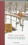 Peter van Gestel, geen - Winterijs