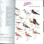 Hutter, Claus-Peter .. Vertaling en bewerking door Drs Joop de Leeuw - Strand en duin voor kinderen en volwassenen. Schelpen, plantengroei, vogels en andere dieren