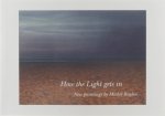 Michel Buylen Galerie de Zwarte Panter - How the light gets in : new paintings by Michel Buylen