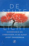 Joost Zwagerman 10714 - De stilte van het licht: schoonheid en onbehagen in de kunst