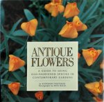 Katherine Whiteside 133372 - Antique Flowers A Guide to Using Old-Fashioned Species in Contemporary Gardens