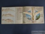 Moseley, Keith. - The flight of the pterosaurs. A pop-up book.