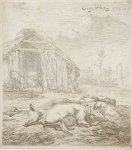 Karel Dujardin (1626-1678) - Antique print, etching | The pigs resting in front of a barn, published 1652, 1 p.