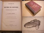 Franck, Dr. Ludw. - Handbuch der Anatomie der Hausthiere mit besonderer berucksichtigung des Pferdes