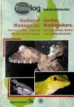 Patrick Schönecker 286772 - Geckos of Madagaskars, the Seychellen, Komoren and Mascarene Islands  Geckos Madagaskars, der Seychellen, Komoren und Maskarenen