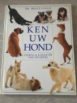 Fogle - Ken uw hond