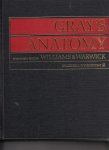 Williams & Warwick - Gray's Anatomy