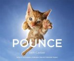 Casteel, Seth - Pounce!