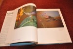 Tyrrell, Esther Quesada - Hummingbirds of the Caribbean